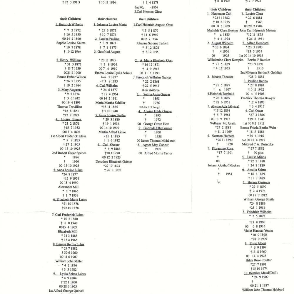 Luhrs family tree-1